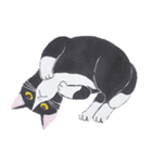 艸さんの猫（個別スタンプ：5）