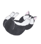 艸さんの猫（個別スタンプ：6）