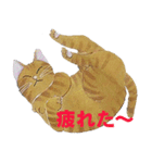 艸さんの猫（個別スタンプ：8）