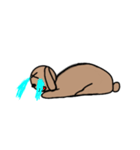 中年うさぎ（その1）（個別スタンプ：39）