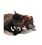 福を招く招き猫（個別スタンプ：1）