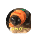福を招く招き猫（個別スタンプ：2）