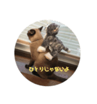 福を招く招き猫（個別スタンプ：4）