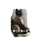 福を招く招き猫（個別スタンプ：5）