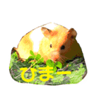 ハムスターの癒し（個別スタンプ：2）