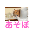 ハムスターの癒し（個別スタンプ：5）