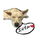きららのひと言（個別スタンプ：2）
