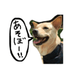 きららのひと言（個別スタンプ：3）