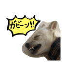 きららのひと言（個別スタンプ：4）