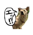 きららのひと言（個別スタンプ：6）