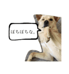 きららのひと言（個別スタンプ：7）