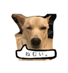 きららのひと言（個別スタンプ：8）
