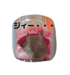 デグーのグゥちゃん☆（個別スタンプ：6）