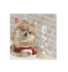 ひまわりスタンプ1（個別スタンプ：4）