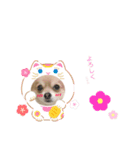 ひまわりスタンプ1（個別スタンプ：5）