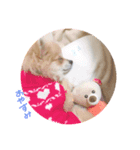 ひまわりスタンプ1（個別スタンプ：6）