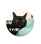 黒猫ラックのユルい日々（個別スタンプ：2）