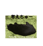 黒猫ラックのユルい日々（個別スタンプ：10）