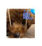 ミントすたんぷ（個別スタンプ：2）