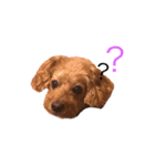 mocha stickers（個別スタンプ：1）