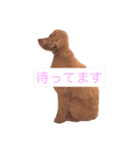 mocha stickers（個別スタンプ：2）