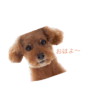 mocha stickers（個別スタンプ：5）