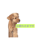 mocha stickers（個別スタンプ：9）