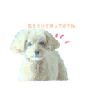 mocha stickers（個別スタンプ：10）