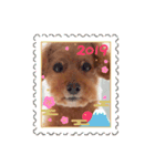 mocha stickers（個別スタンプ：11）