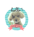 mocha stickers（個別スタンプ：12）
