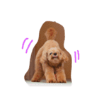 mocha stickers（個別スタンプ：15）