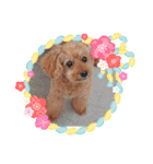 mocha stickers（個別スタンプ：16）