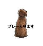 ろぺさく 3（個別スタンプ：4）