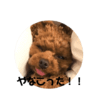 ろぺさく 3（個別スタンプ：13）