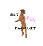 ろぺさく 3（個別スタンプ：20）