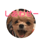 ろぺさく 3（個別スタンプ：22）