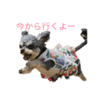 小梅ちゃんだ（個別スタンプ：1）