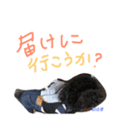 トイプー 兄妹★おはモナ（個別スタンプ：5）
