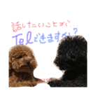 トイプー 兄妹★おはモナ（個別スタンプ：7）