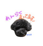 トイプー 兄妹★おはモナ（個別スタンプ：8）