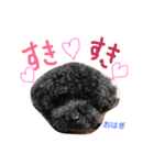トイプー 兄妹★おはモナ（個別スタンプ：12）