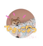 小夏的すたんぷ。（個別スタンプ：2）