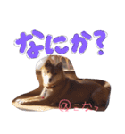 小夏的すたんぷ。（個別スタンプ：4）