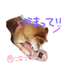 小夏的すたんぷ。（個別スタンプ：8）