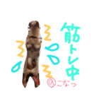 小夏的すたんぷ。（個別スタンプ：11）