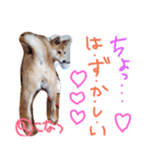 小夏的すたんぷ。（個別スタンプ：12）