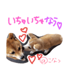 小夏的すたんぷ。（個別スタンプ：13）
