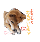 小夏的すたんぷ。（個別スタンプ：14）