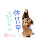 小夏的すたんぷ。（個別スタンプ：15）