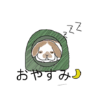 ホーランドロップ（個別スタンプ：5）